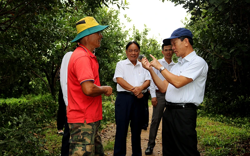 Đồng chí Dương Văn Trang (người ngoài cùng bên phải) thăm mô hình trồng cây mắc-ca tại huyện Kon Rẫy. 
