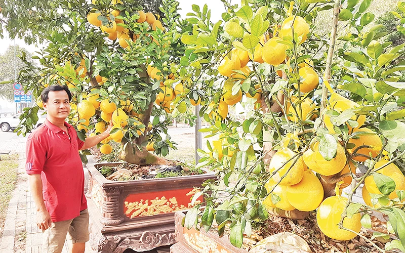 Anh Nguyễn Đặng Thành, chủ vựa hoa, cây cảnh Hưng Thịnh, thành phố Thủ Đức.