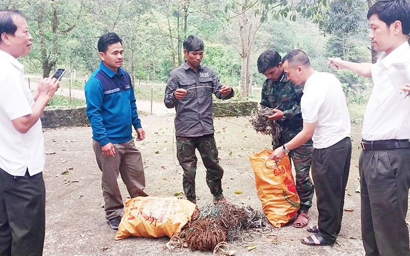 Lực lượng nhận khoán bảo vệ rừng tham gia tháo gỡ bẫy động vật hoang dã tại Khu bảo tồn thiên nhiên Đakrông.