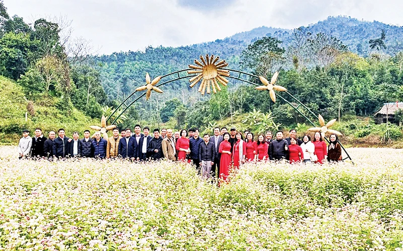 Du khách trải nghiệm cánh đồng tam giác mạch ở điểm du lịch cộng đồng Khuôn Tát, xã Phú Đình, huyện Định Hóa.