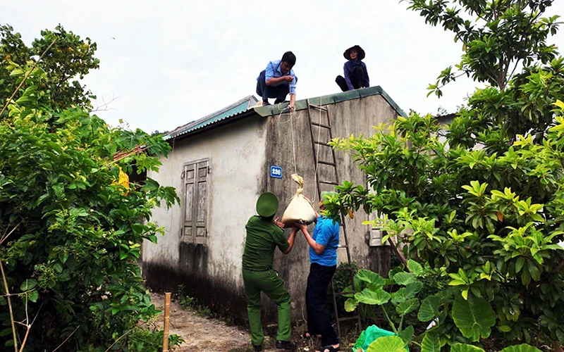 Các lực lượng hỗ trợ người dân trên đảo Cô Tô (Quảng Ninh) chằng chống nhà cửa. (Ảnh QUANG THỌ)