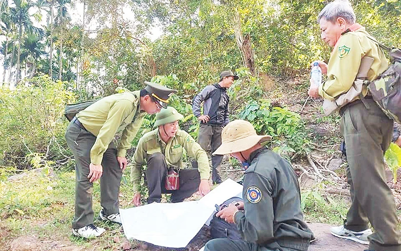 Ứng dụng công nghệ số giúp ngành kiểm lâm Quảng Ngãi thực hiện tốt nhiệm vụ quản lý, bảo vệ rừng. 