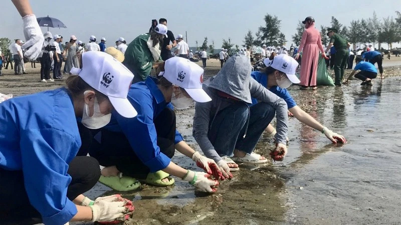 Đoàn viên, thanh niên tham gia thu gom rác thải trên bãi biển Cửa Lò (tỉnh Nghệ An).