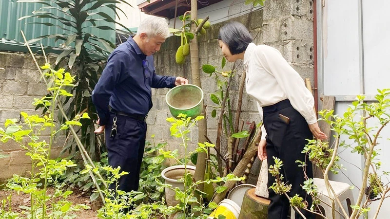 Cán bộ y tế giám sát sát ổ bọ gậy trên địa bàn huyện Quốc Oai (Thành phố Hà Nội).