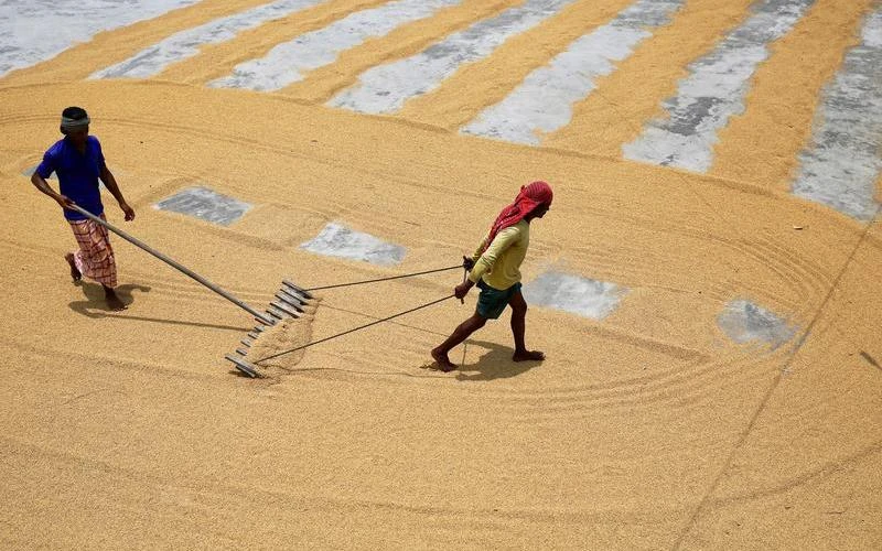 Ảnh minh họa. Nguồn: Reuters