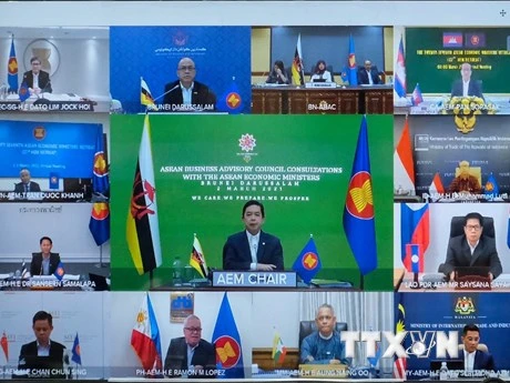 Điểm cầu các nước ASEAN tham dự hội nghị. (Ảnh: Trần Việt/TTXVN)