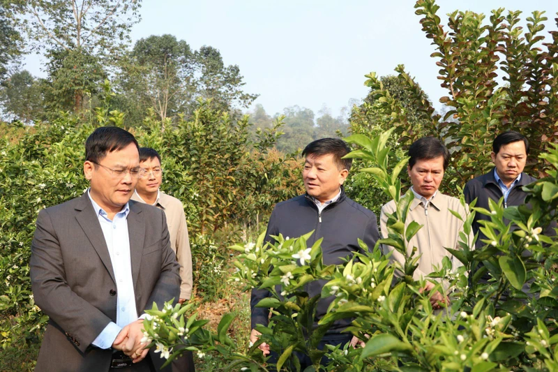 Chủ tịch HĐND tỉnh Điện Biên Lò Văn Phương ( thứ 3 từ phải sang) cùng đại biểu giám sát tại huyện Mường Ảng. Ảnh: THÚY LAN