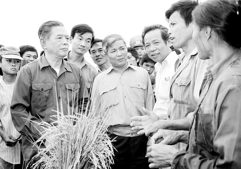 Tổng Bí thư Nguyễn Văn Linh thăm cánh đồng lúa của Hợp tác xã Hải Vân (Hải Hậu, tỉnh Hà Nam Ninh) năm 1988.