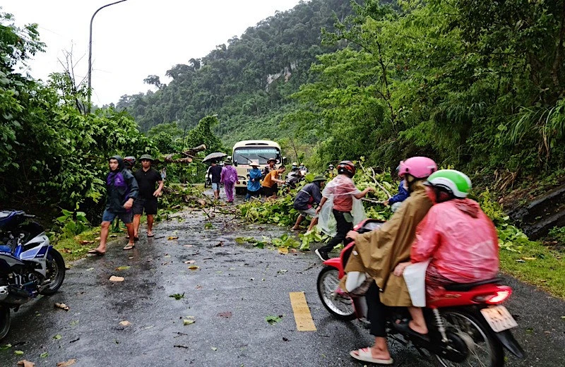 Mưa và gió to làm gãy đổ nhiều cây ven đường tại Tuyên Quang. Ảnh: Hải Chung