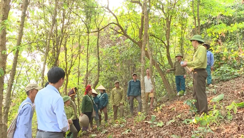 Điện Biên quan tâm tuyên truyền chính sách dịch vụ môi trường rừng