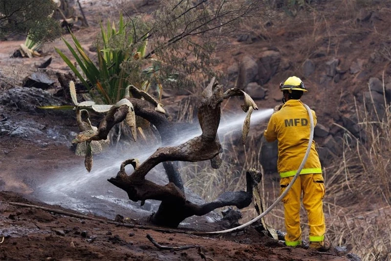 Lực lượng cứu hỏa chạy đua với thời gian để kiểm soát đám cháy trên đảo Maui. (Ảnh: Reuters)