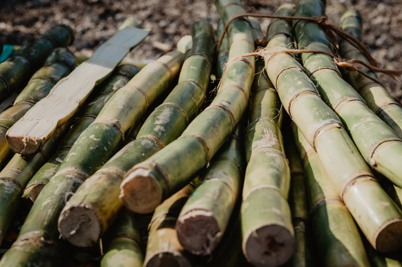 Bài toán nguồn cung và nhu cầu tiêu thụ của ngành mía đường Việt Nam