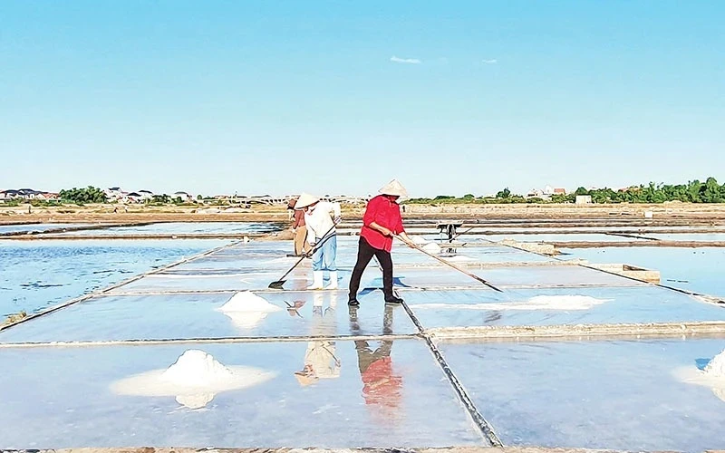 Diêm dân Phú Lộc, xã Quảng Phú, huyện Quảng Trạch (Quảng Bình) cần mẫn sản xuất muối. Ảnh: Hoàng Phương