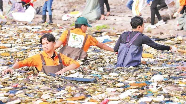 Các tình nguyện viên thu gom rác ở dọc tuyến đê biển Gò Công. Ảnh: NGUYỄN SỰ