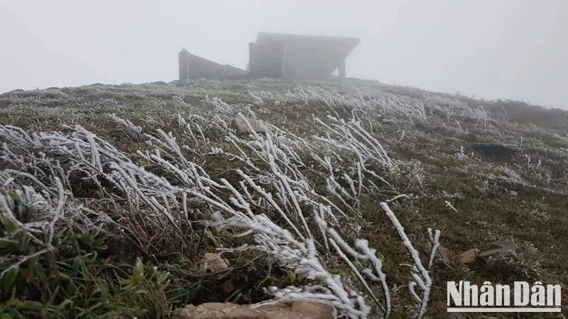 Băng tuyết đã xuất hiện trên Khu du lịch Mẫu Sơn, Lộc Bình (Lạng Sơn). Ảnh: Quốc Đạt
