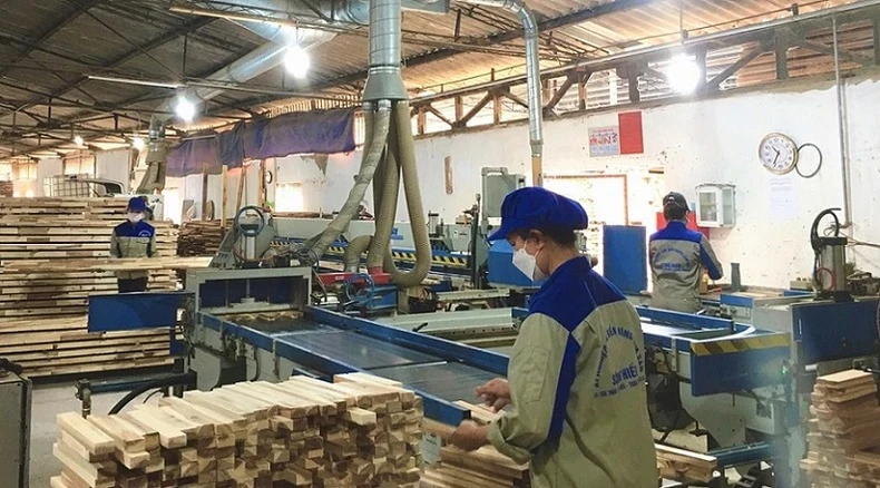 Nhà máy chế biến gỗ ở Nghĩa Đàn (Nghệ An).