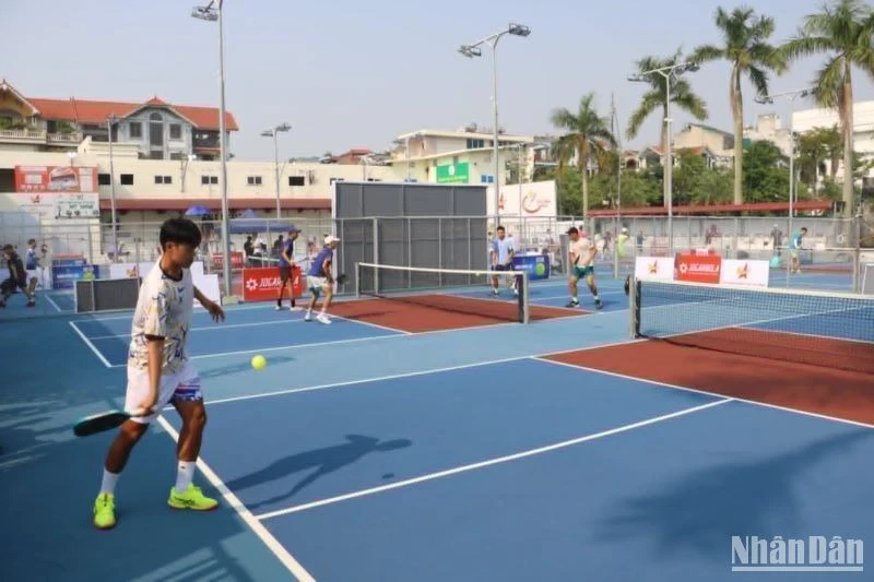 Vận động viên thi đấu tại Giải vô địch Pickleball các Câu lạc bộ quốc gia. Ảnh: MAI TÚ