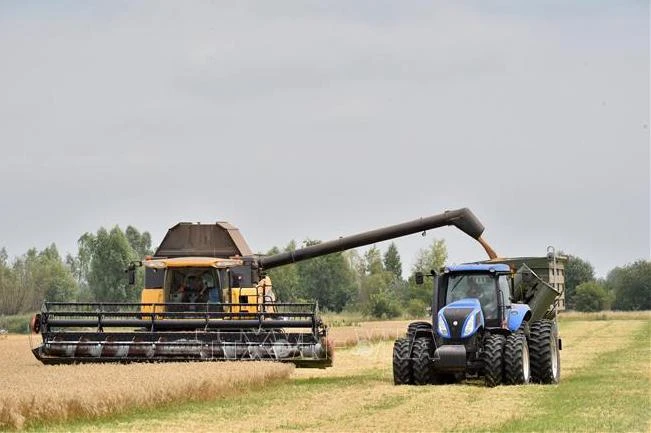 Thu hoạch ngũ cốc trên cánh đồng lúa mì ở Mala Divytsa, Ukraine. (Ảnh: AFP/TTXVN)