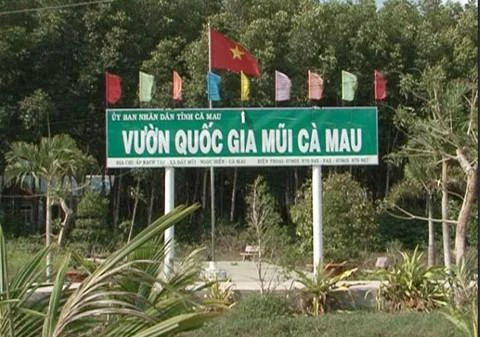 Vườn quốc gia Mũi Cà Mau. (Ảnh: congan.com.vn)