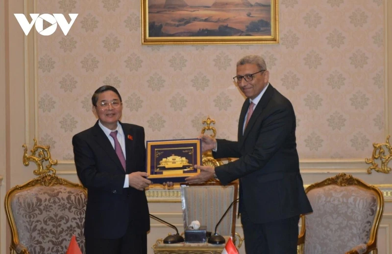 Phó Chủ tịch Quốc hội Nguyễn Đức Hải trao quà lưu niệm của Quốc hội Việt Nam tới Phó Chủ tịch Hạ viện Ai Cập. (Ảnh: vov.vn)