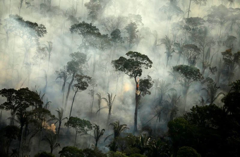 Các đám cháy tại một khu vực rừng Amazon vào năm 2019. (Ảnh: REUTERS)