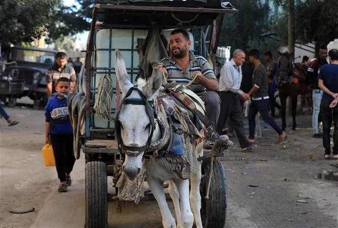 Người dân vận chuyển nước sinh hoạt tại Khan Younis, Dải Gaza. (Ảnh: THX/TTXVN)