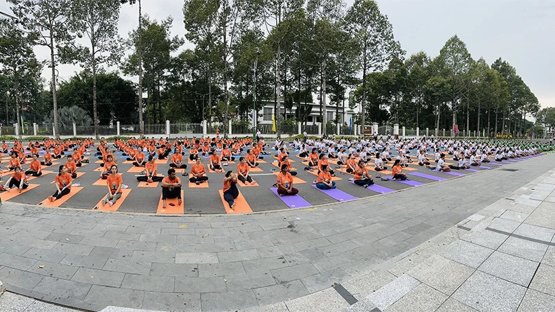 Ngày Quốc tế Yoga thu hút sự tham gia đồng diễn của khoảng 500 người.