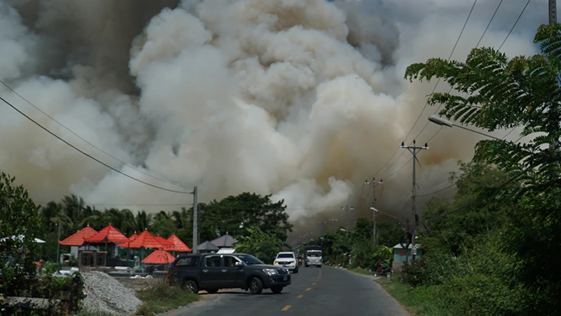 Khói lửa mịt mù trong vụ cháy tại Khu A1, Vườn quốc gia Tràm Chim.