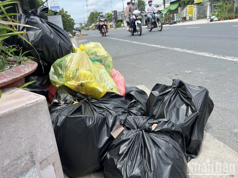 Nhiều túi rác chậm thu gom tại ấp Tân Trong, xã Tân Mỹ.