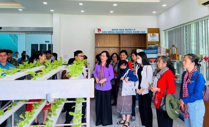 Các sinh viên Lào, Campuchia tham quan các mô hình nông nghiệp công nghệ cao được trưng bày tại phòng mô phỏng Khu Nông nghiệp công nghệ cao Thành phố Hồ Chí Minh.