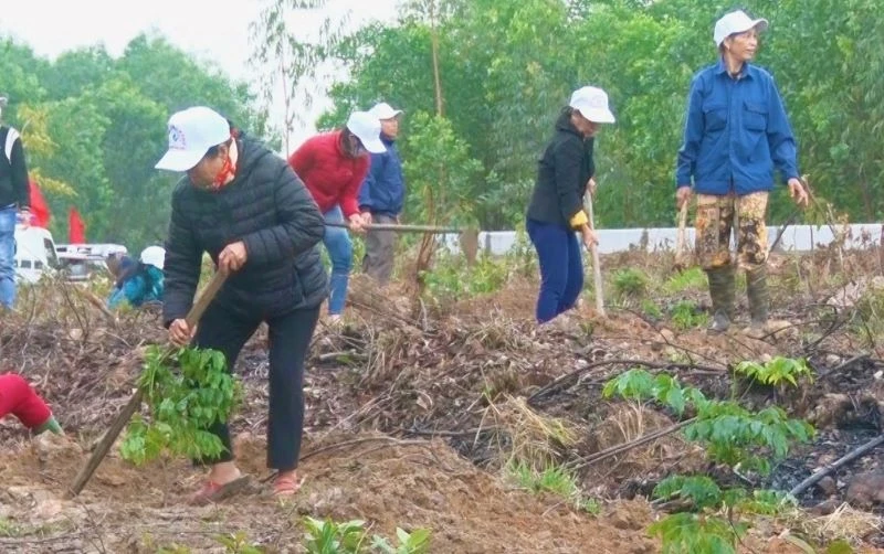 Nhân dân thành phố Đồng Hới tham gia trồng cây đầu xuân Quý Mão 2023.