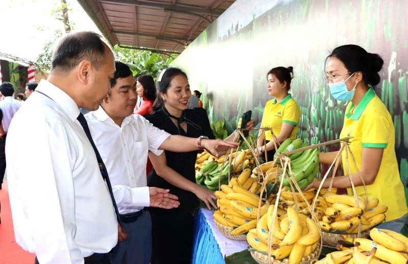 Các đại biểu tham quan gian hàng trưng bày chuối tươi.