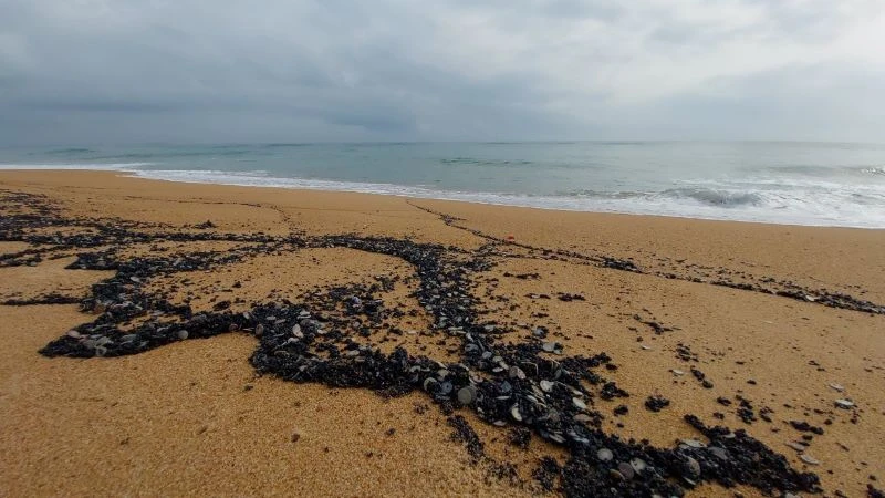 Vết dầu vón cục tấp thành vệt dài trên bãi biển phường 7 thành phố Tuy Hòa.