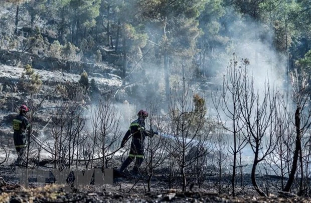 Nhân viên cứu hỏa nỗ lực khống chế đám cháy rừng tại Fuente de la Reina, Tây Ban Nha, ngày 29/3/2023. (Ảnh: AFP/TTXVN)