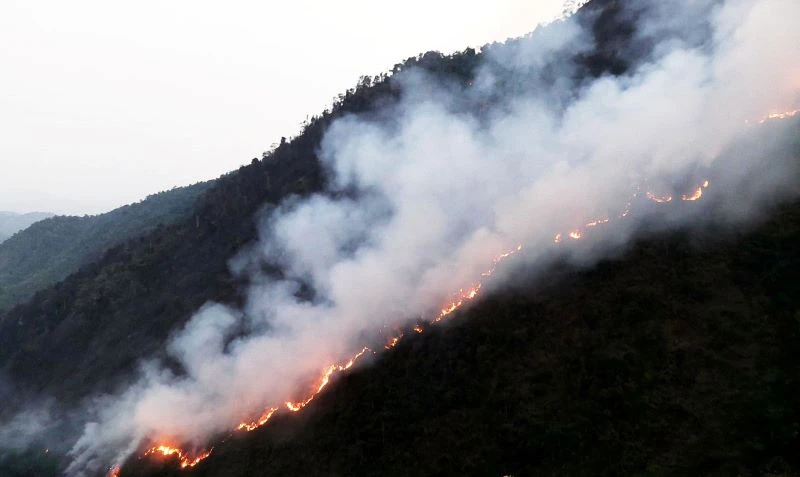 Xảy ra cháy rừng tại huyện Vị Xuyên (Hà Giang).
