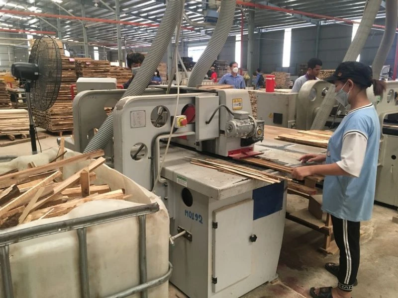 Sử dụng máy móc hiện đại để chế biến gỗ tại Công ty TAVICO (Đồng Nai).