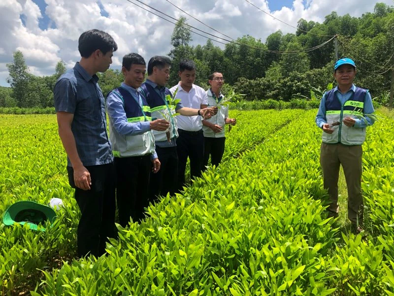 Giám đốc Trung tâm Khuyến nông quốc gia Lê Quốc Thanh tham quan mô hình vườn ươm cây lâm nghiệp tại xã Vĩnh Hà, huyện Vĩnh Linh (Quảng Trị).