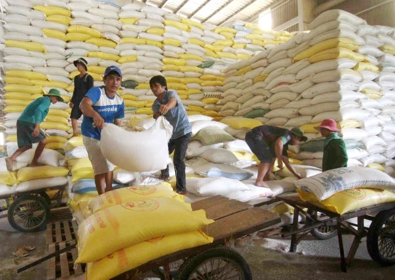 Đóng gói gạo xuất khẩu tại Công ty Lương thực sông Hậu.
