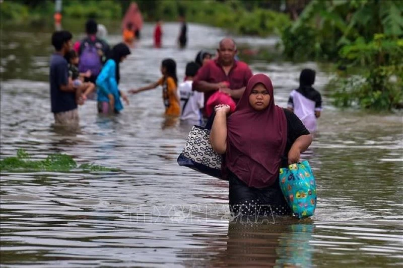Cảnh ngập lụt sau những trận mưa lớn. (Ảnh: AFP/TTXVN)