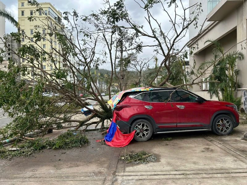 Ô-tô bị hư hỏng tại thành phố Hạ Long, Quảng Ninh.