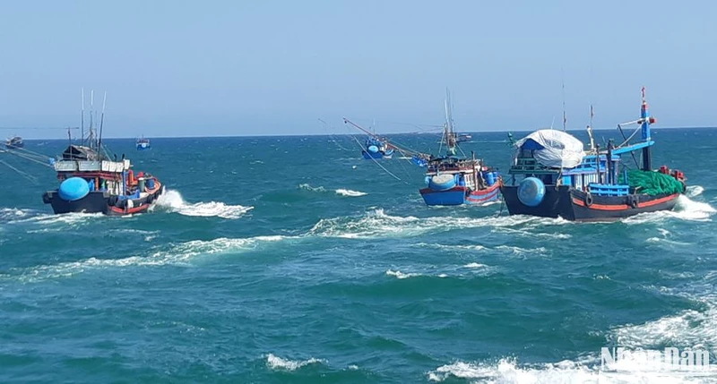 Quảng Ngãi cương quyết xử lý nghiêm các chủ tàu cá vi phạm hành chính trong lĩnh vực thủy sản. 