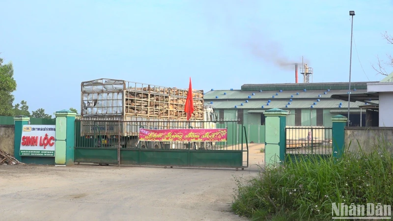 Công ty trách nhiệm sản xuất và thương mại Sinh Lộc ở cụm công nghiệp-làng nghề Tịnh Ấn Tây (xã Tịnh Ấn Tây, thành phố Quảng Ngãi), bị phạt 330 triệu đồng về hành vi xả nước thải có chứa các thông số môi trường nguy hại vào môi trường. 