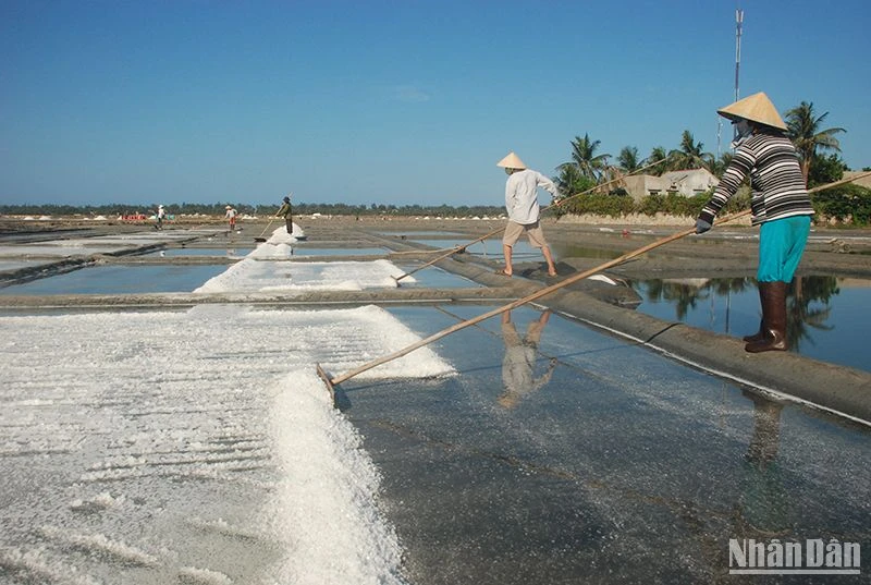 Đồng muối Sa Huỳnh không chỉ mang giá trị kinh tế mà còn có giá trị văn hóa, lịch sử của người dân Sa Huỳnh cổ. 