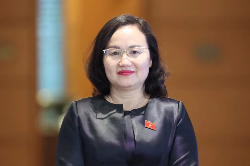 Bà Phạm Thúy Chinh, Phó Chủ nhiệm Ủy ban Tài chính, Ngân sách của Quốc hội.