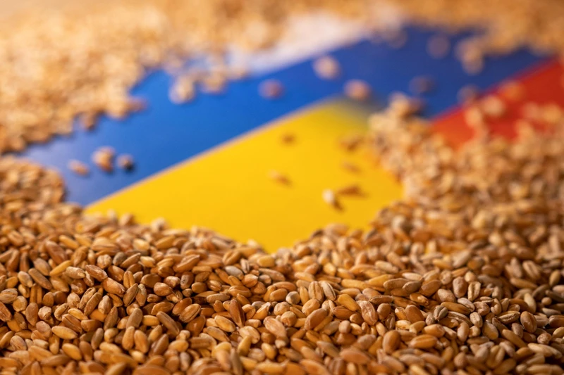 Cuộc xung đột tại Ukraine đẩy giá lương thực tăng cao. (Ảnh: Reuters)