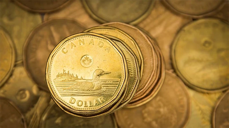 Đồng dollar Canada. (Ảnh: Reuters)