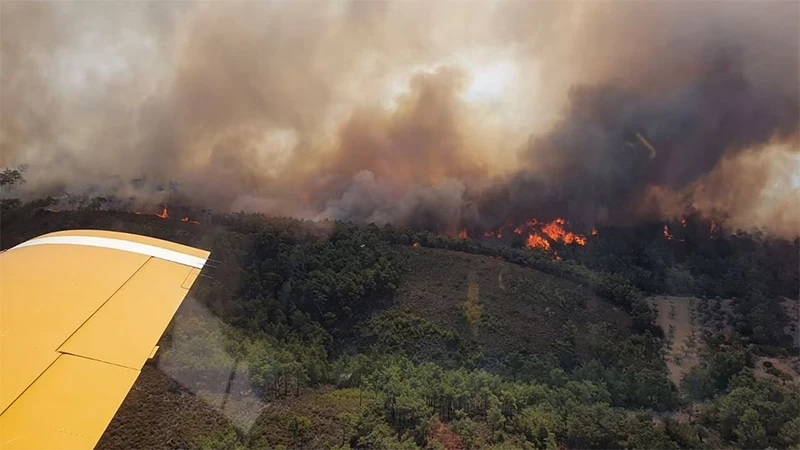Máy bay tham gia dập đám cháy rừng trên đảo Rhodes, Hy Lạp, ngày 24/7/2023. (Ảnh: Reuters)