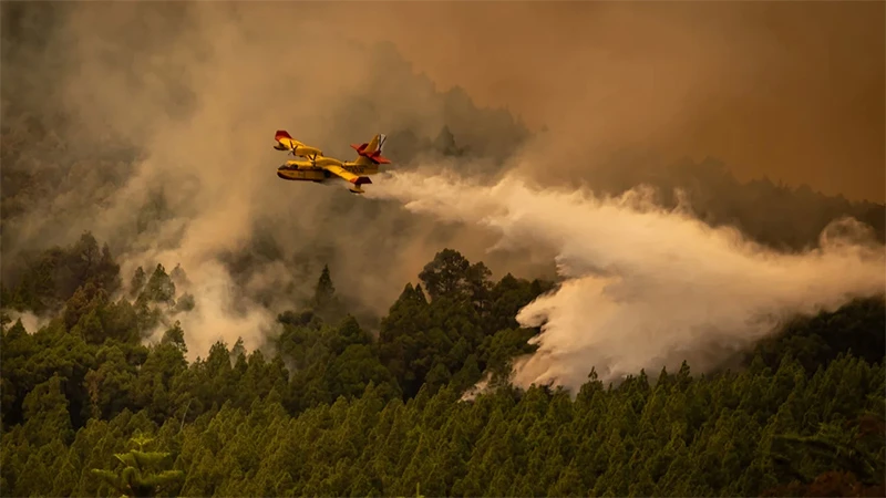 17 máy bay cứu hỏa đã được huy động đã dập đám cháy trên đảo Tenerife. (Ảnh: Anadolu Agency/Getty Images)