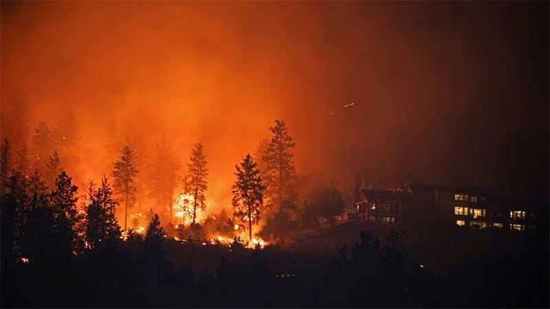 Cháy rừng tại tỉnh bang British Columbia (BC), miền tây Canada, ngày 19/8/2023. (Ảnh: Reuters)