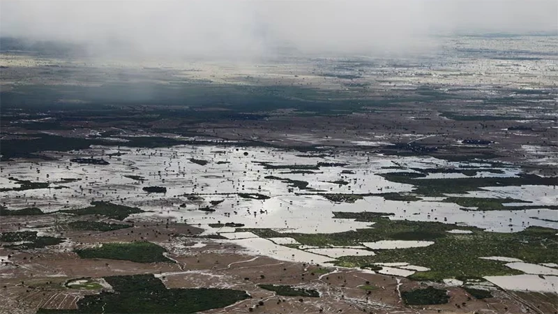 Toàn cảnh cánh đồng bị ngập úng sau khi mưa lớn xuất hiện tại Baidoa, Somalia, ngày 16/11/2023. Ảnh: Reuters